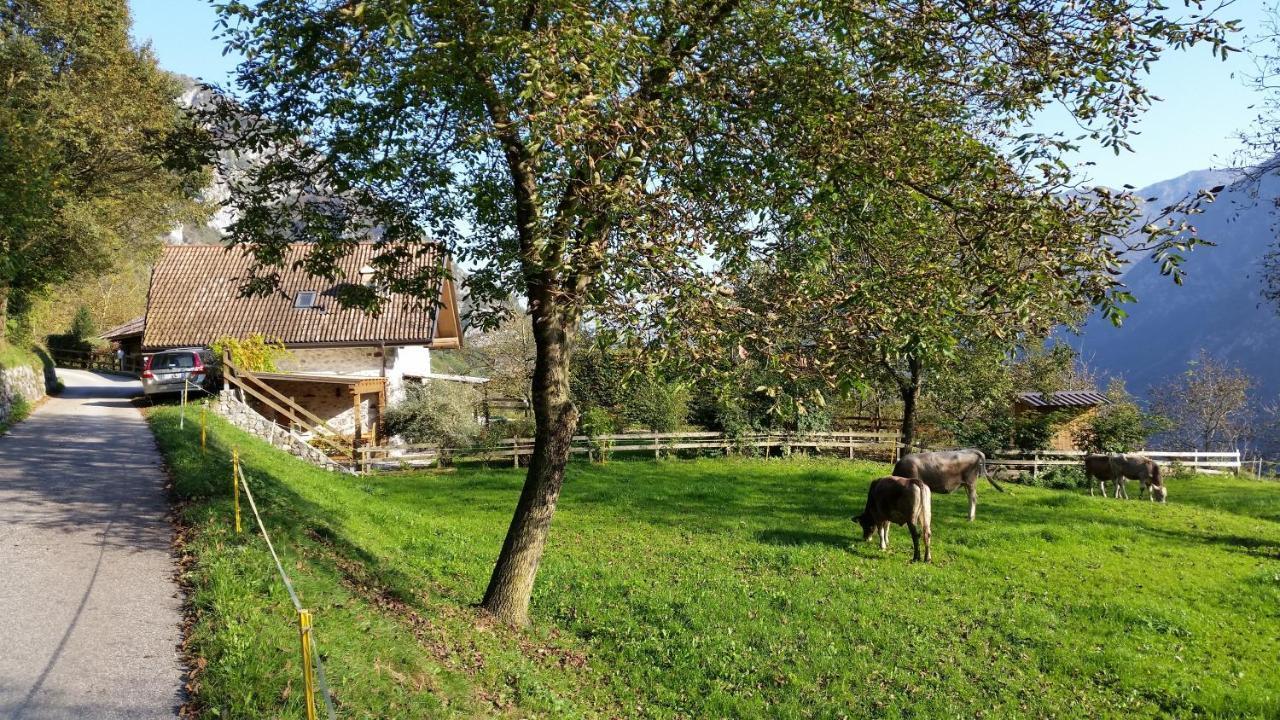 Chalet La Nos โมลินา ดิ เลโดร ห้อง รูปภาพ